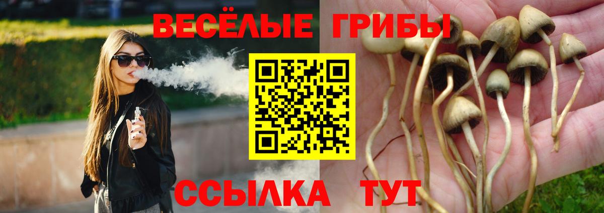 Псилоцибиновые грибы Psilocybe Сланцы